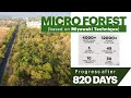 Micro Forest at Ganpat University