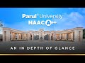 Your Future Begins Here | Parul University